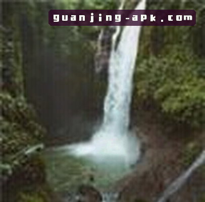 郑涛